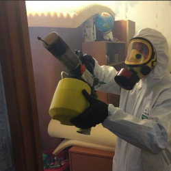 Уничтожение клопов в квартире. Сходненская